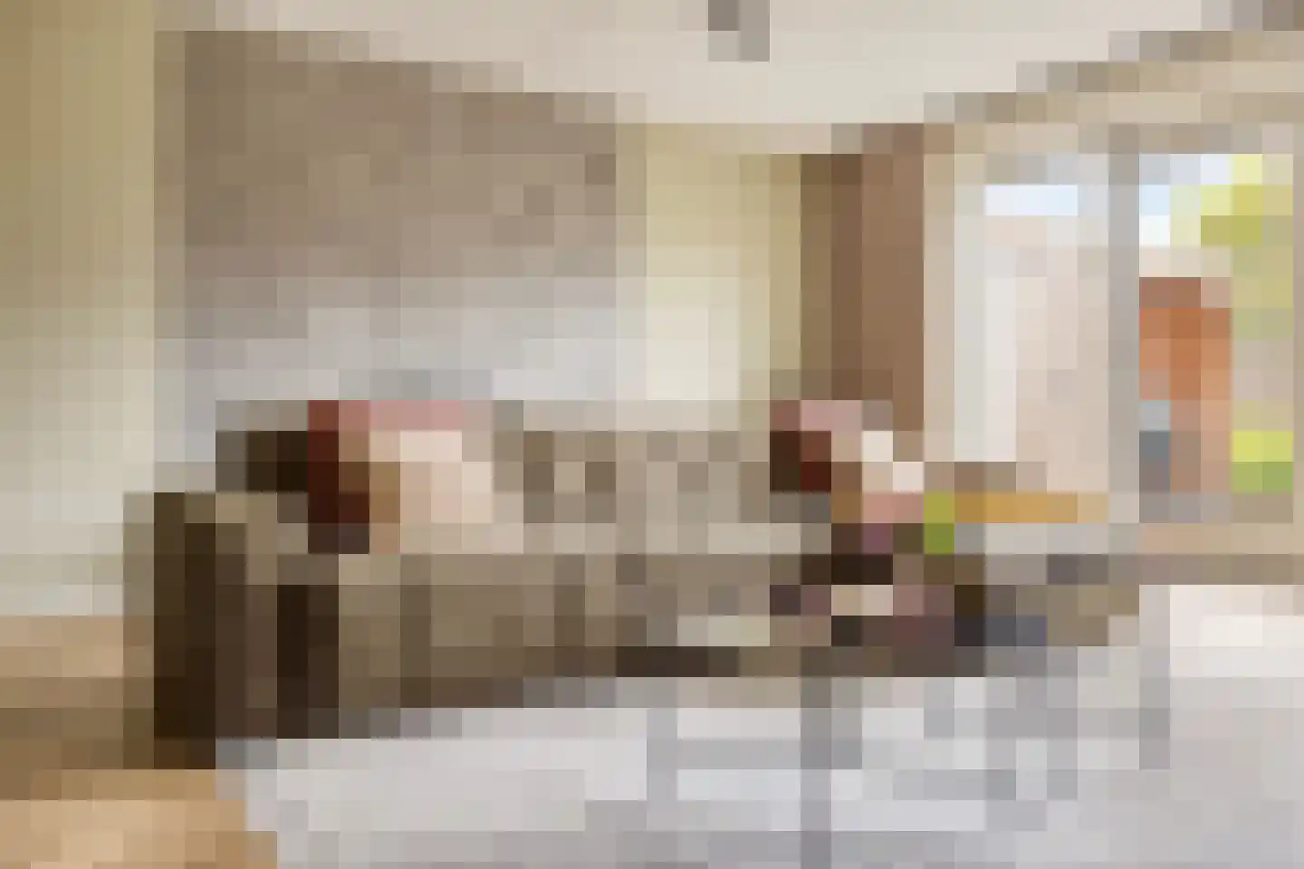 Thijs de Torenwachterstr 5 Zaltbommel thumbnail 9
