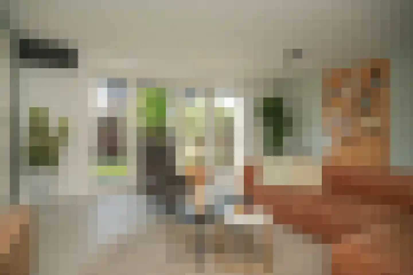 Thijs de Torenwachterstr 6 Zaltbommel thumbnail 11
