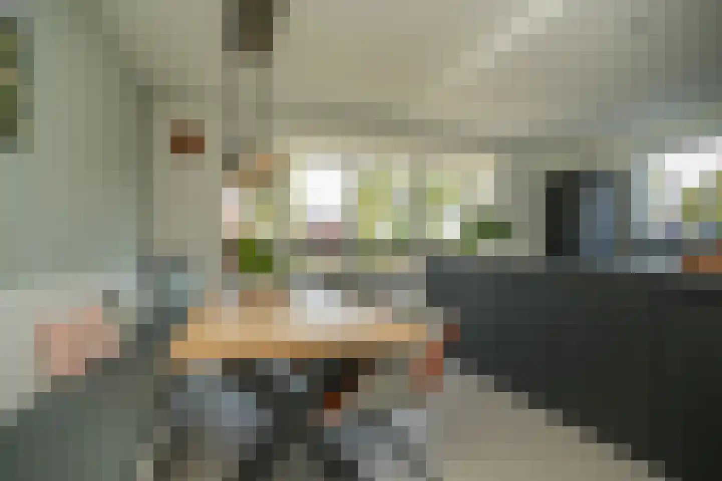 Thijs de Torenwachterstr 6 Zaltbommel thumbnail 20