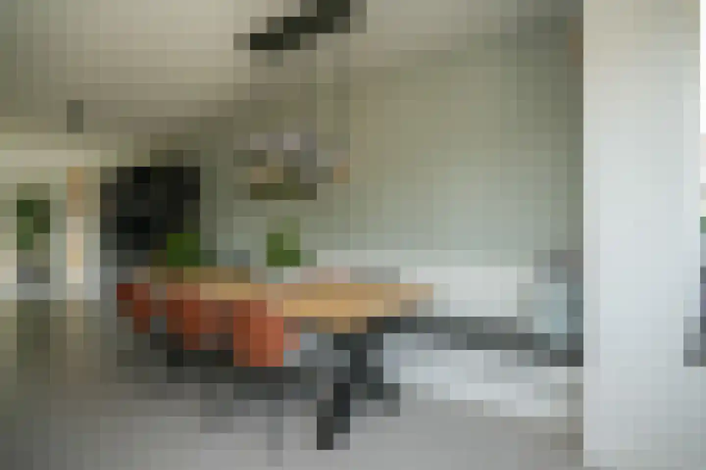 Thijs de Torenwachterstr 6 Zaltbommel thumbnail 27