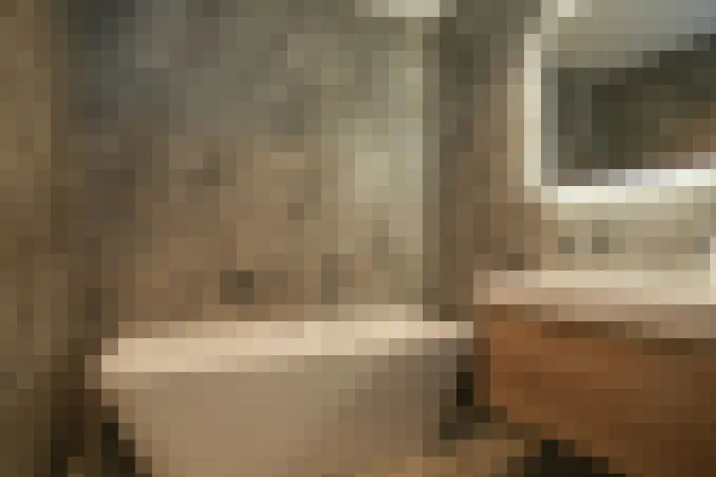 Thijs de Torenwachterstr 6 Zaltbommel thumbnail 36