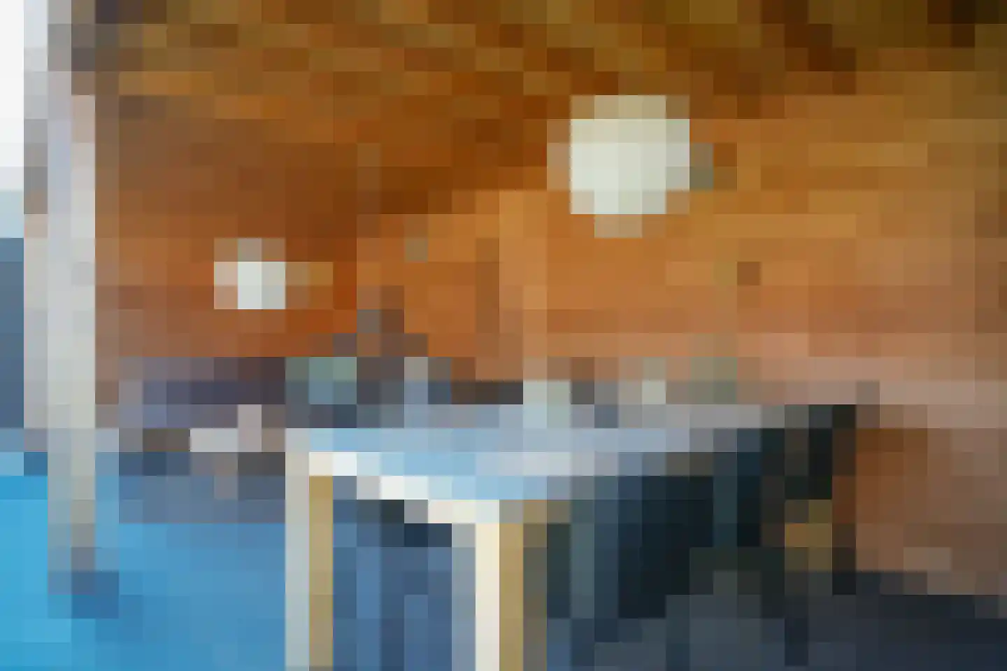 Thijs de Torenwachterstr 6 Zaltbommel thumbnail 49