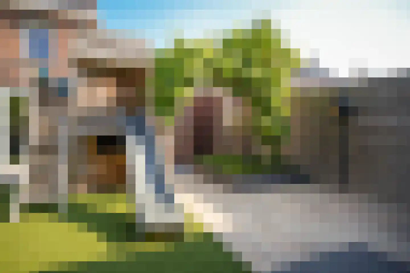 Thijs de Torenwachterstr 6 Zaltbommel thumbnail 56
