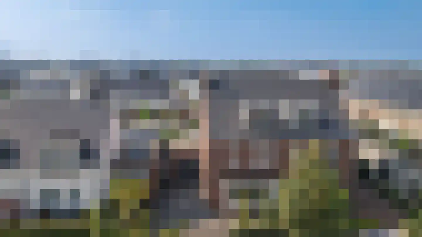 Thijs de Torenwachterstr 6 Zaltbommel thumbnail 6