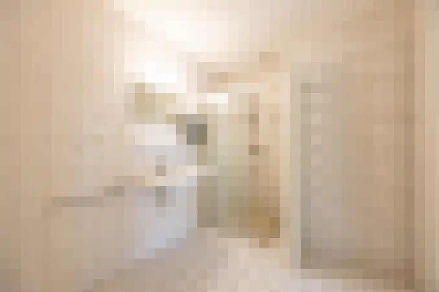 Thijs Ouwerkerkstraat 15 Hoofddorp thumbnail 17