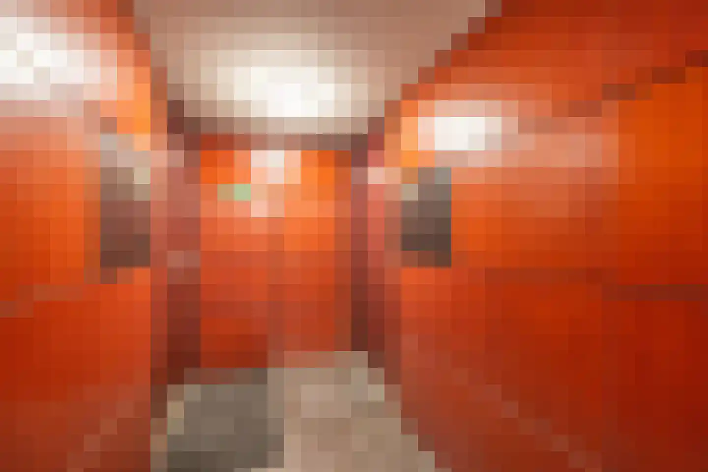 Thijs Ouwerkerkstraat 15 Hoofddorp thumbnail 19
