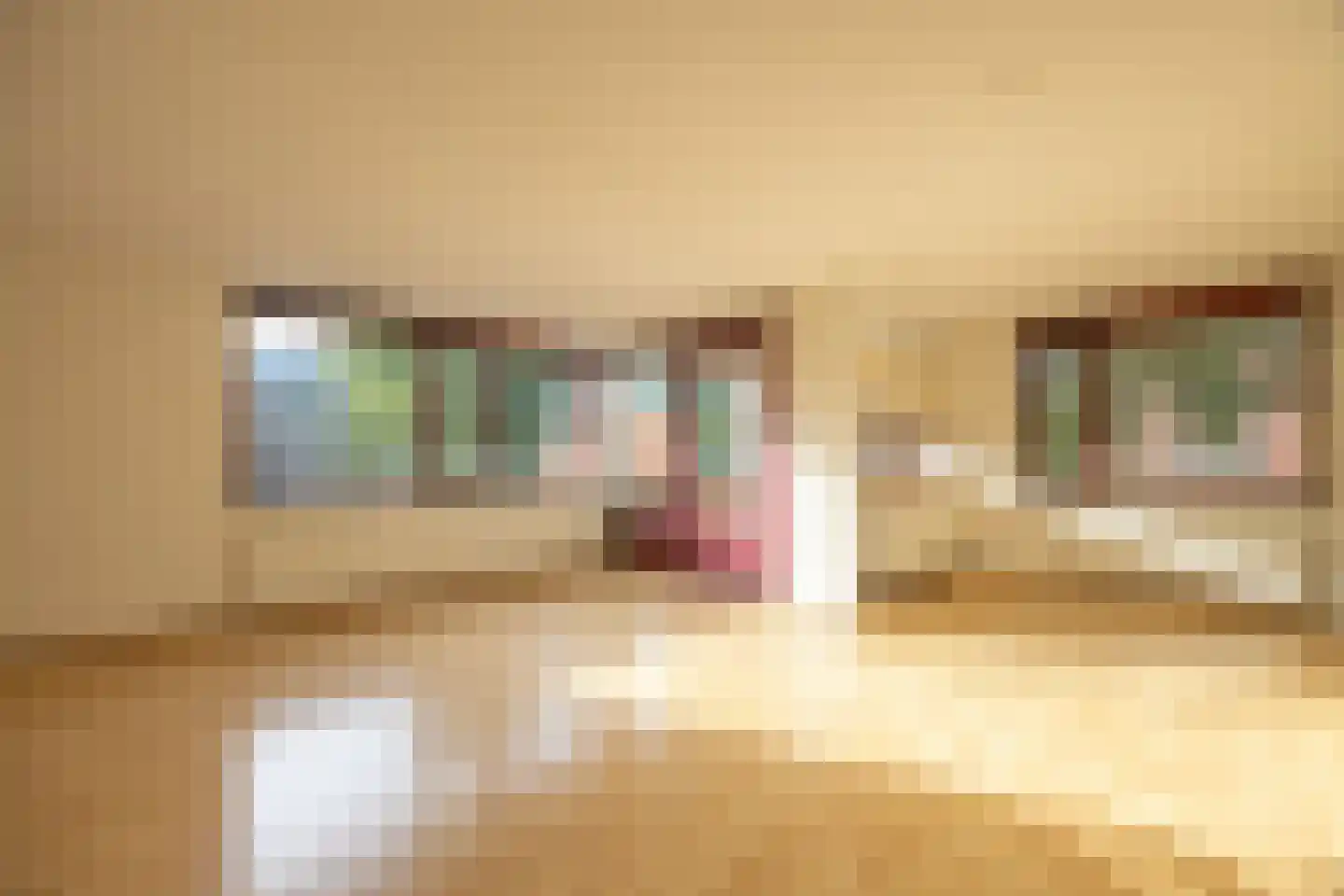 Thijs Ouwerkerkstraat 15 Hoofddorp thumbnail 6