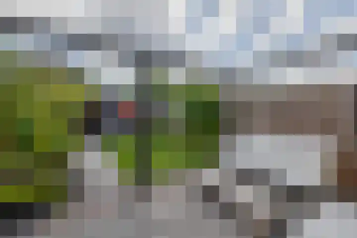 Thijs Rinsemastraat 81 Drachten thumbnail 31