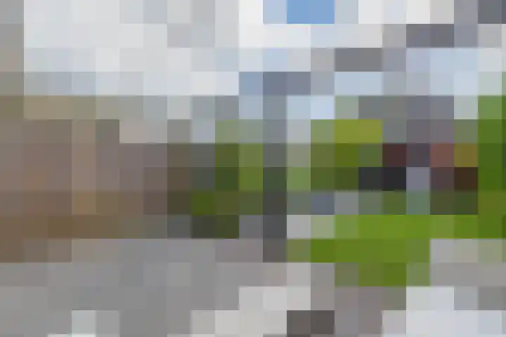 Thijs Rinsemastraat 81 Drachten thumbnail 32