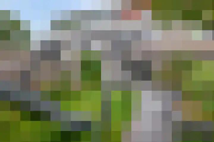 Thijs Rinsemastraat 81 Drachten thumbnail 33
