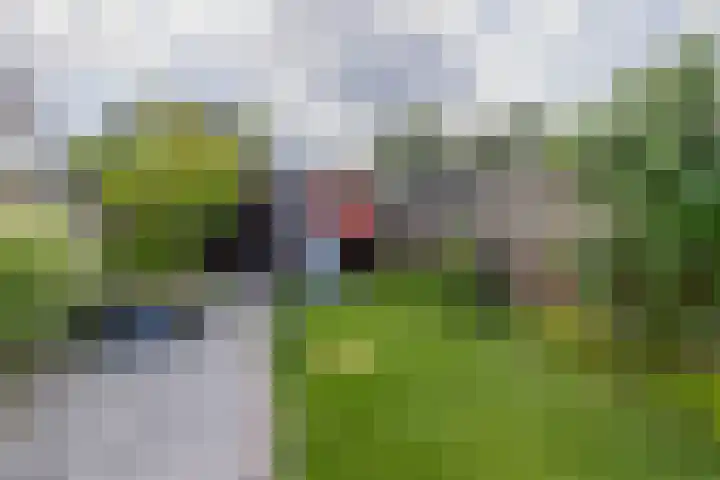 Thijs Rinsemastraat 81 Drachten thumbnail 36
