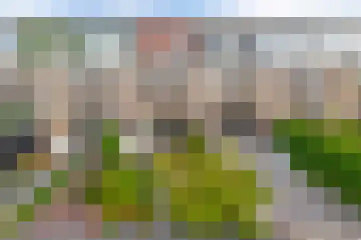 Thijs Rinsemastraat 81 Drachten thumbnail 4