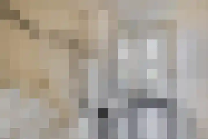 Thijs Rinsemastraat 81 Drachten thumbnail 7
