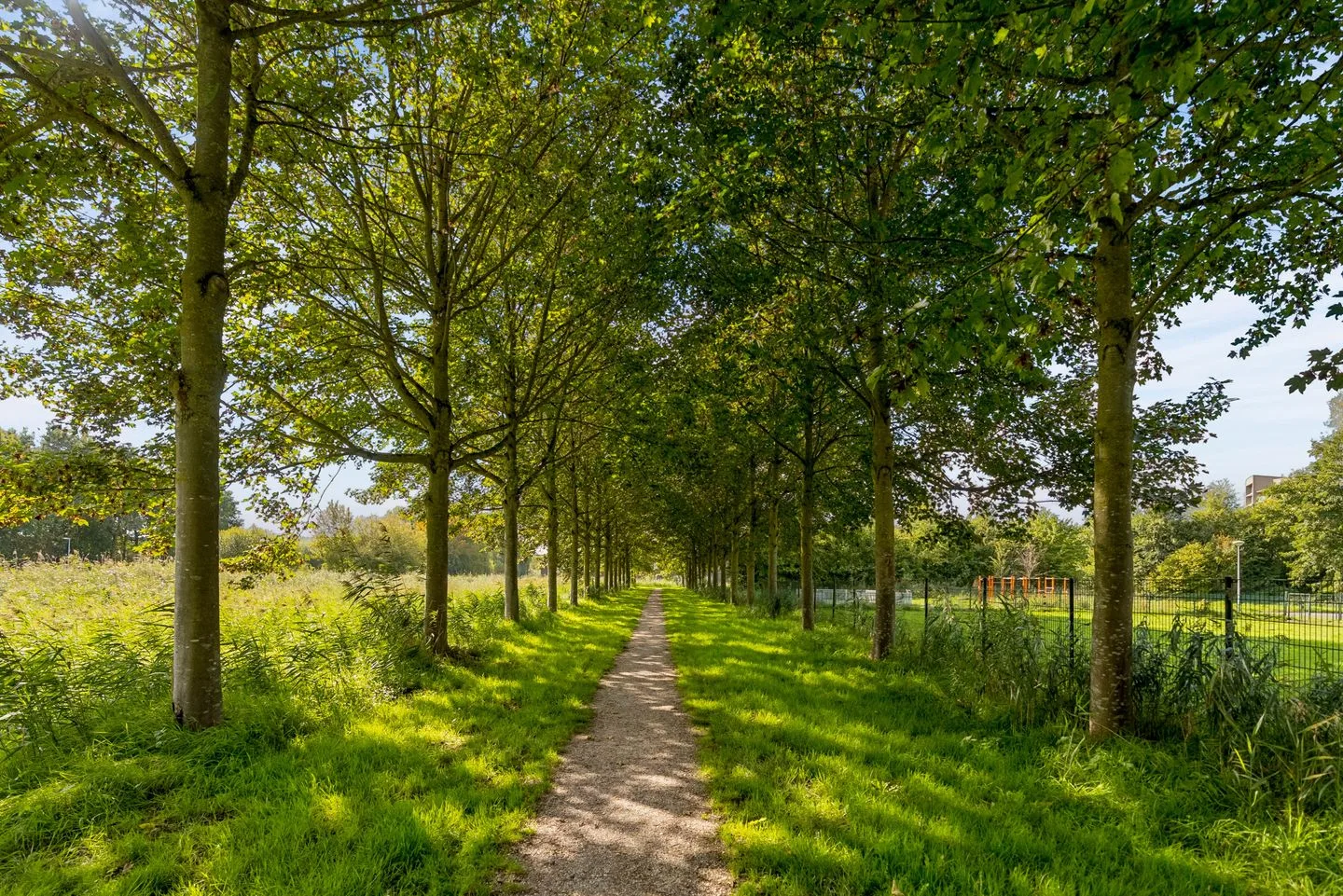 Thijs Slofstraat 10 Almere thumbnail 43