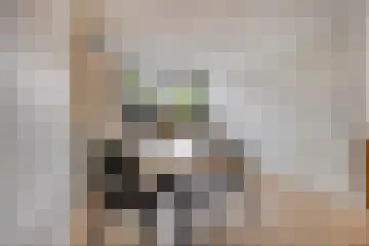 Thijs Slootshof 9 Nuenen thumbnail 12