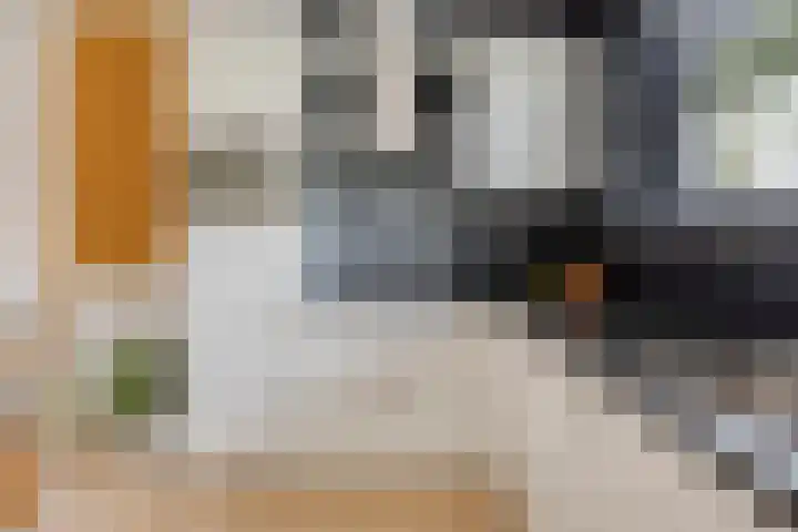 Thijs Slootshof 9 Nuenen thumbnail 14