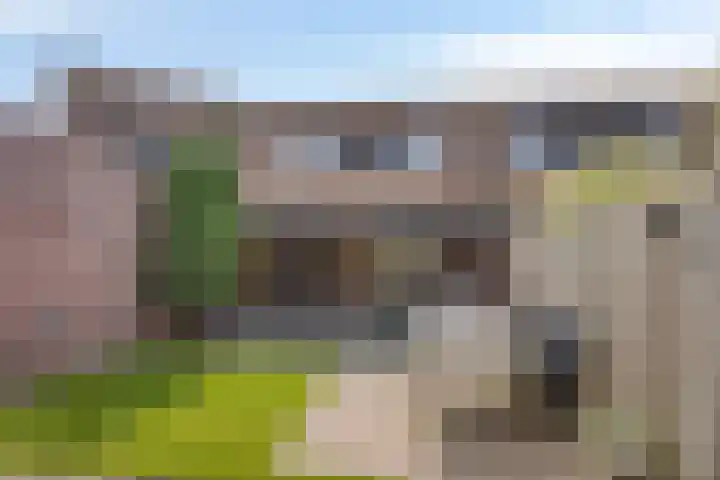 Thijs Slootshof 9 Nuenen foto 2