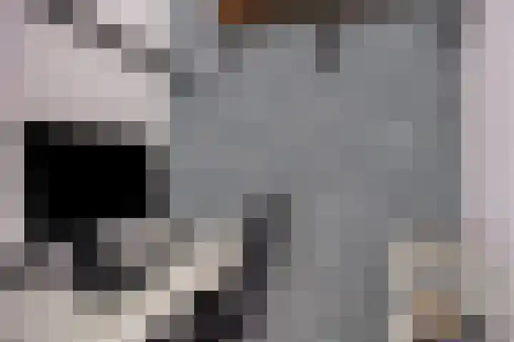 Thijs Slootshof 9 Nuenen thumbnail 23