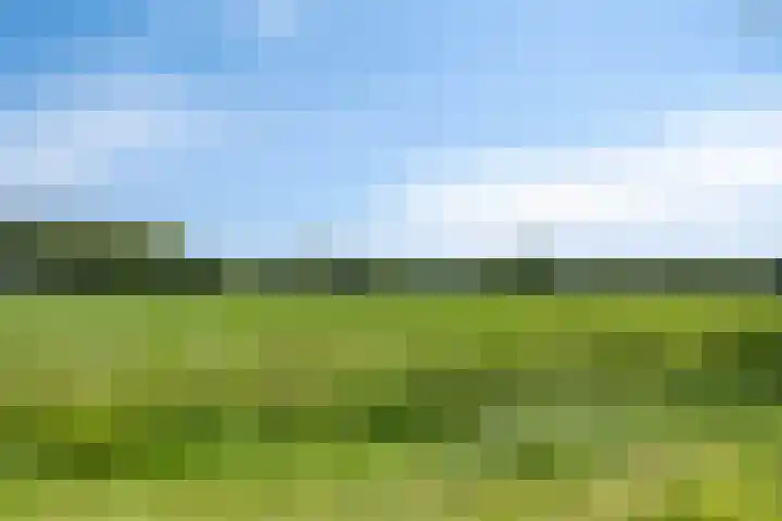Thijs Slootshof 9 Nuenen thumbnail 27