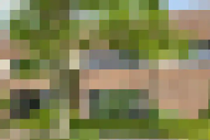Thijs Slootshof 9 Nuenen thumbnail 28