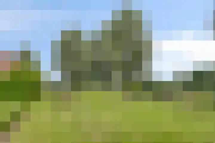 Thijs Slootshof 9 Nuenen thumbnail 4