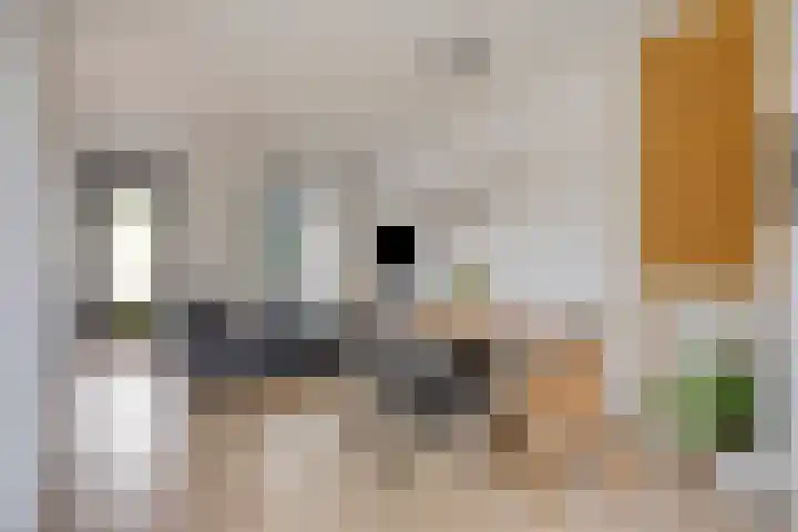 Thijs Slootshof 9 Nuenen thumbnail 7