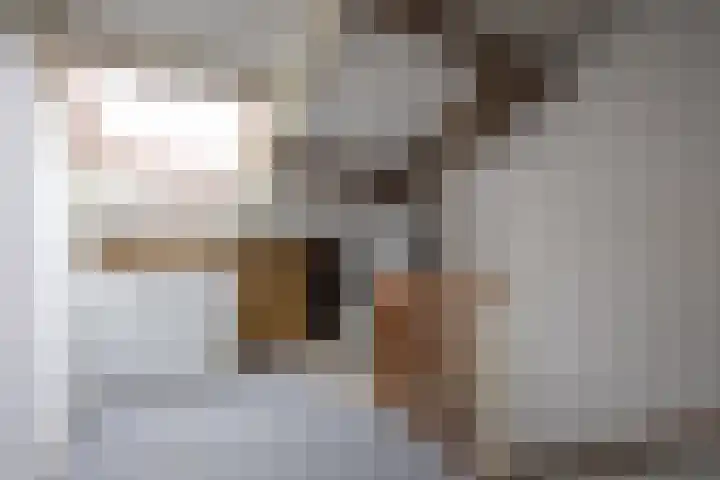 Thijs van der Lindenstraat 4 Noordwijk thumbnail 19