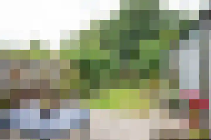 Thijs van der Lindenstraat 4 Noordwijk thumbnail 25