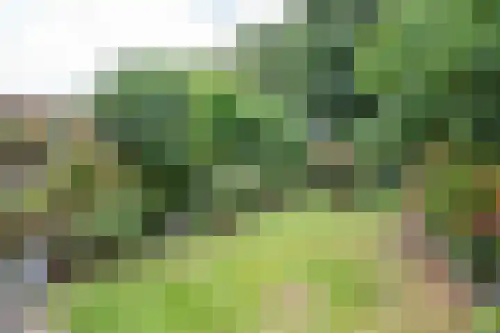Thijs van der Lindenstraat 4 Noordwijk thumbnail 26