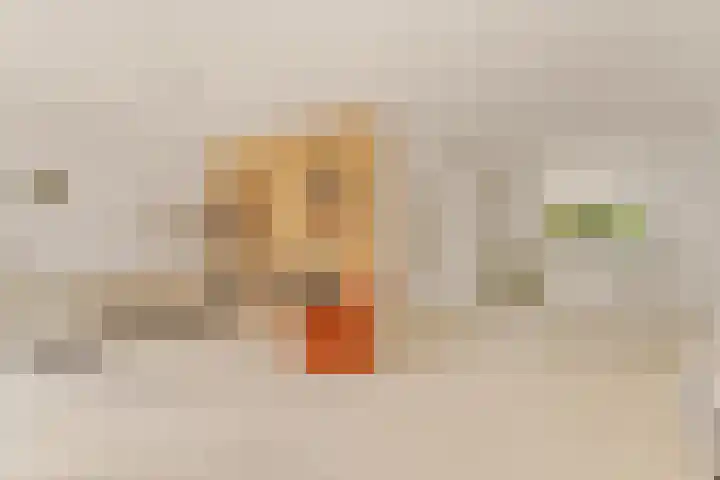 Thijs van der Lindenstraat 44 Noordwijk thumbnail 10