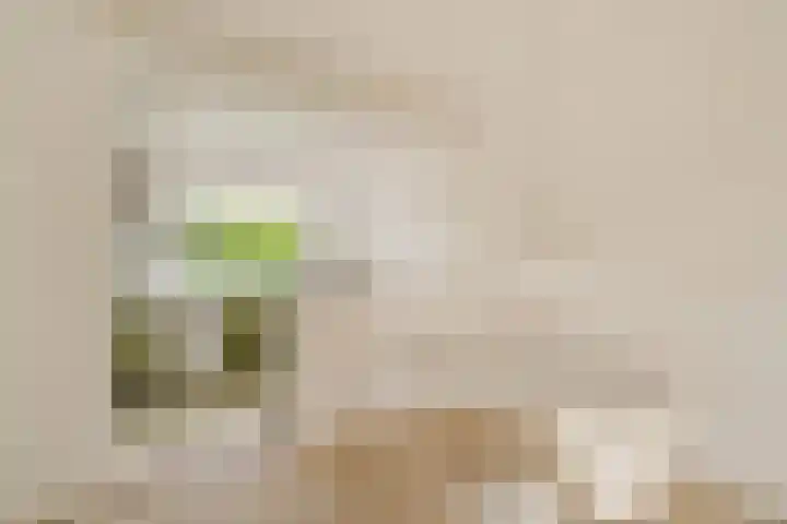 Thijs van der Lindenstraat 44 Noordwijk thumbnail 11