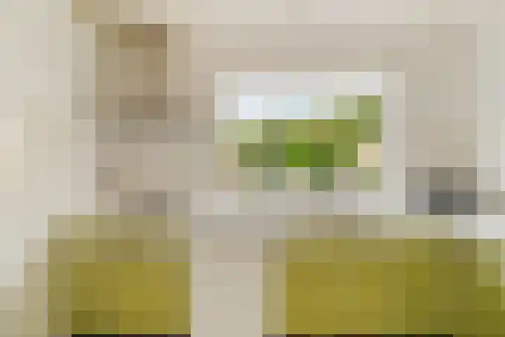 Thijs van der Lindenstraat 44 Noordwijk thumbnail 12