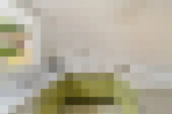 Thijs van der Lindenstraat 44 Noordwijk thumbnail 13