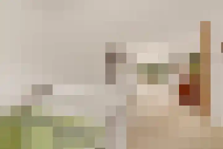 Thijs van der Lindenstraat 44 Noordwijk thumbnail 14
