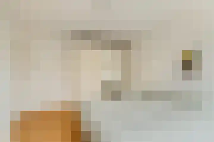 Thijs van der Lindenstraat 44 Noordwijk thumbnail 18