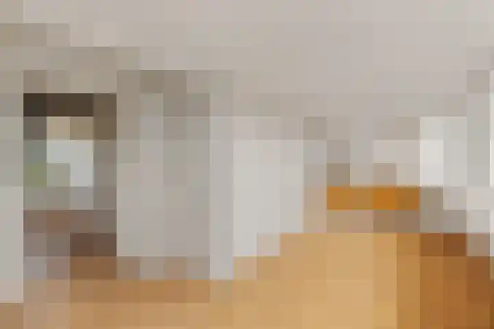 Thijs van der Lindenstraat 44 Noordwijk thumbnail 27