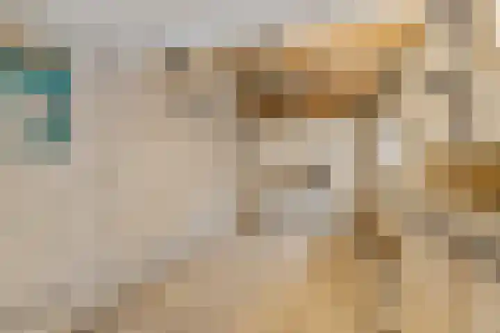 Thijs van der Lindenstraat 44 Noordwijk thumbnail 31