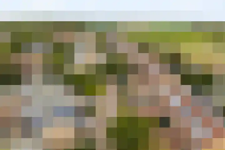 Thijs van der Lindenstraat 44 Noordwijk thumbnail 34