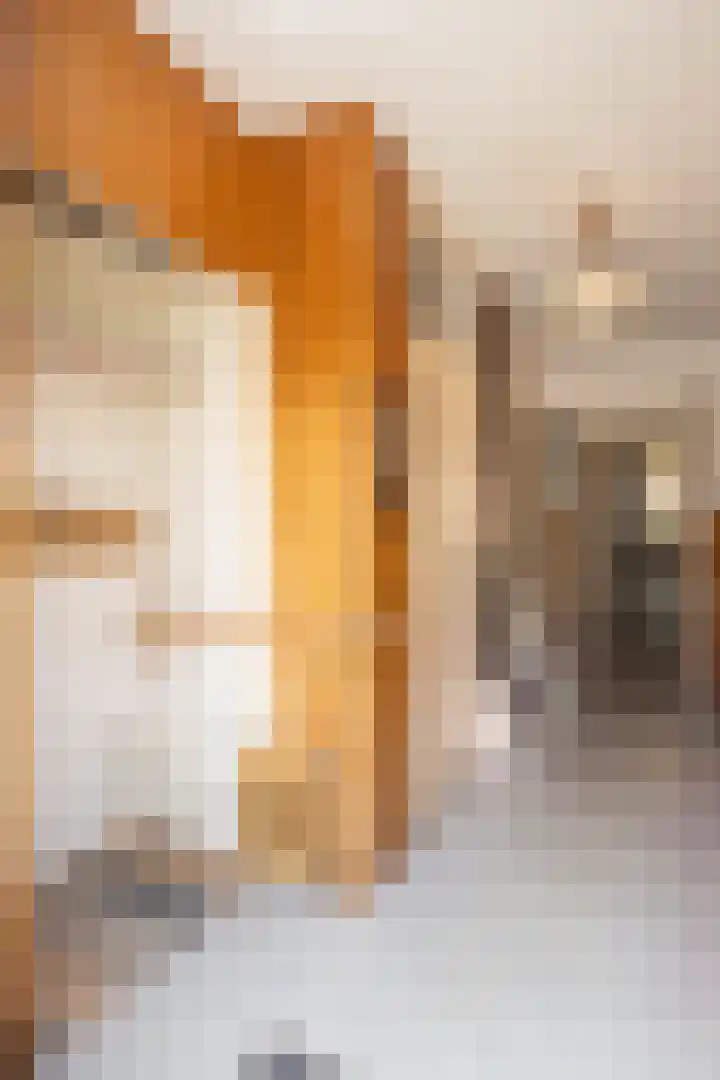 Thijsselaan 105 Den Burg thumbnail 23