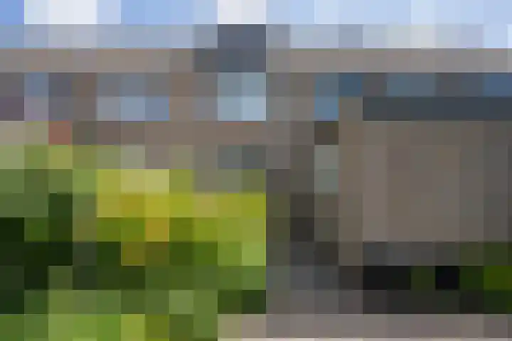 Thijsselaan 105 Den Burg thumbnail 47