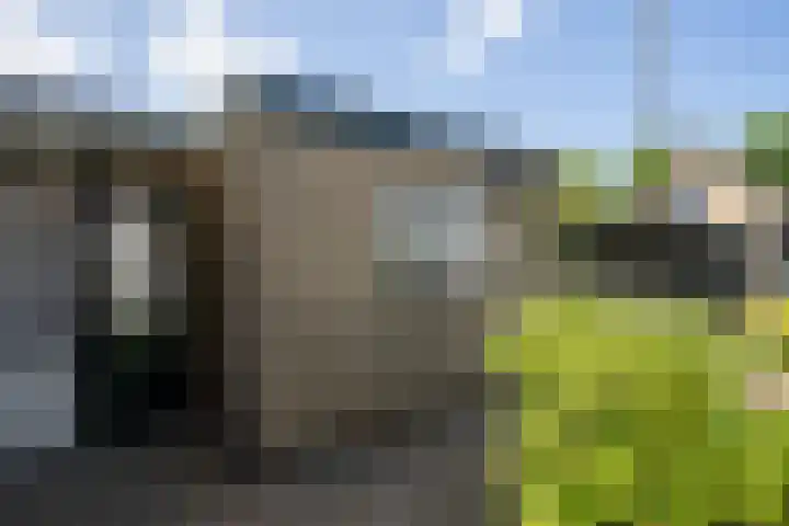 Thijsselaan 105 Den Burg thumbnail 49