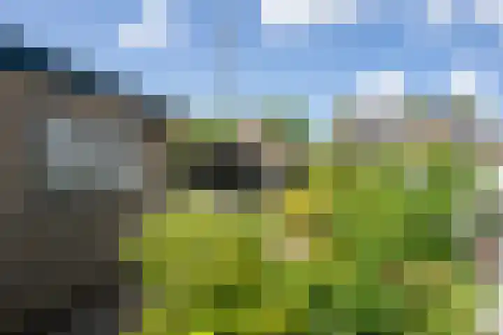 Thijsselaan 105 Den Burg thumbnail 50