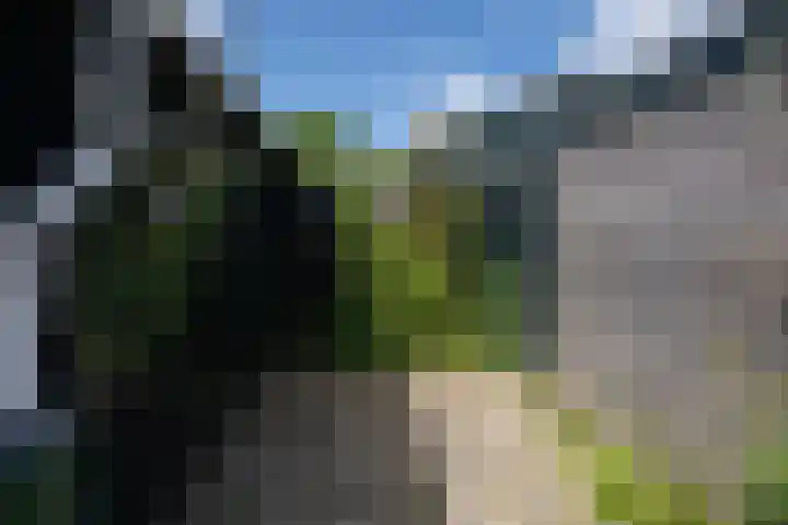 Thijsselaan 105 Den Burg thumbnail 52