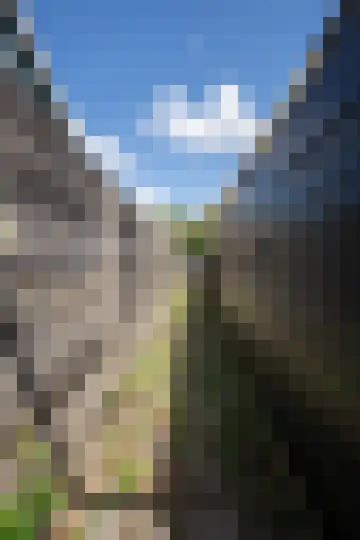 Thijsselaan 105 Den Burg thumbnail 53