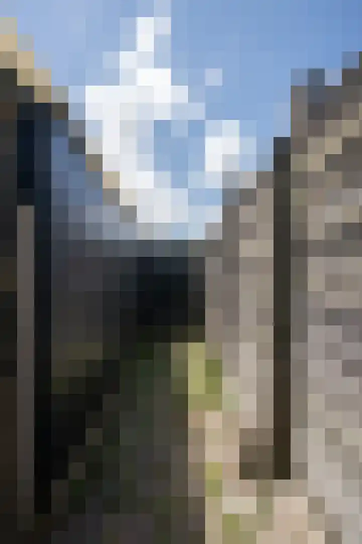 Thijsselaan 105 Den Burg thumbnail 54