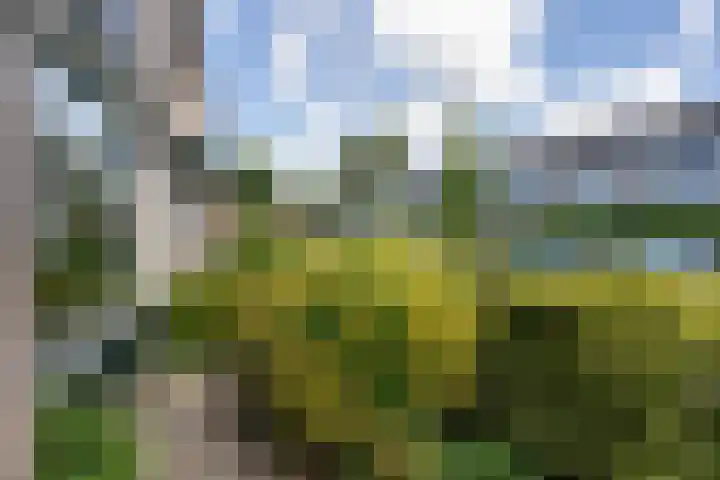 Thijsselaan 105 Den Burg thumbnail 57
