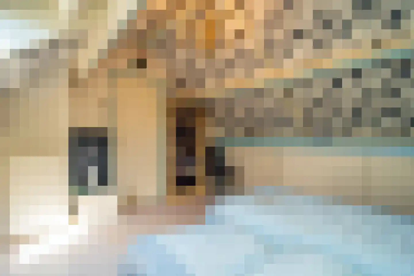 Thijsselaan 107 Den Burg thumbnail 25