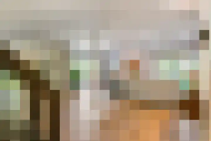 Thijsselaan 11 Wageningen thumbnail 14