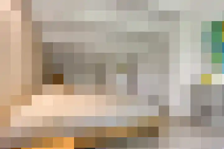 Thijsselaan 11 Wageningen thumbnail 26