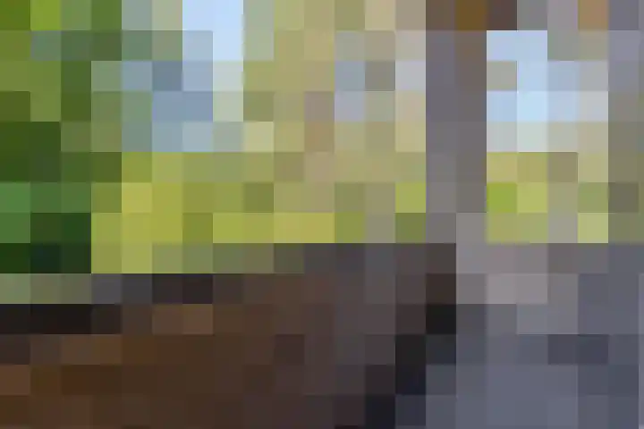 Thijsselaan 11 Wageningen thumbnail 27